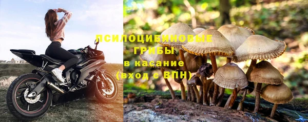 дживик Кодинск