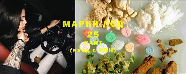 PSILOCYBIN Киреевск