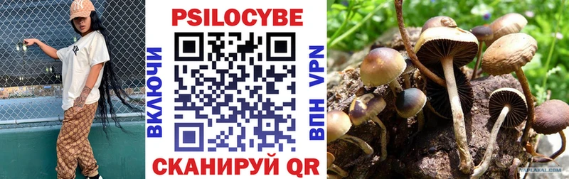 Галлюциногенные грибы мухоморы  Купить закладки  Зеленоградск 
